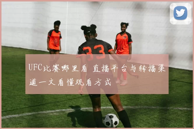 UFC比赛哪里看 直播平台与转播渠道一文看懂观看方式