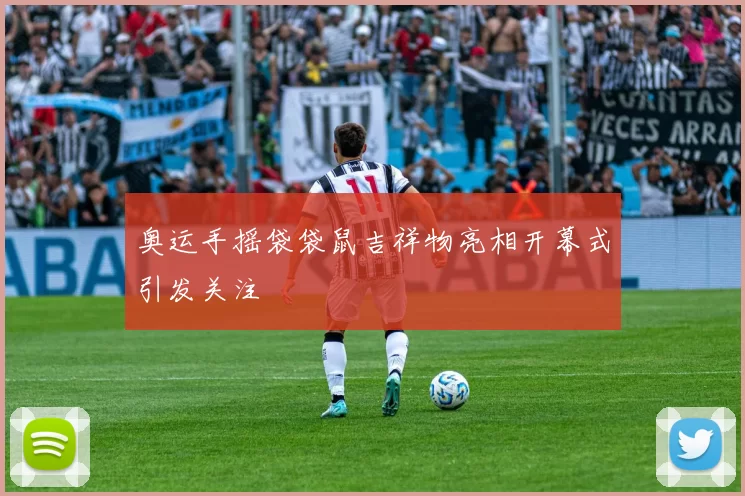 奥运手摇袋袋鼠吉祥物亮相开幕式引发关注