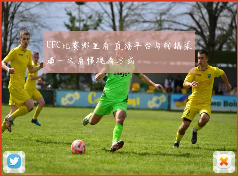 UFC比赛哪里看 直播平台与转播渠道一文看懂观看方式