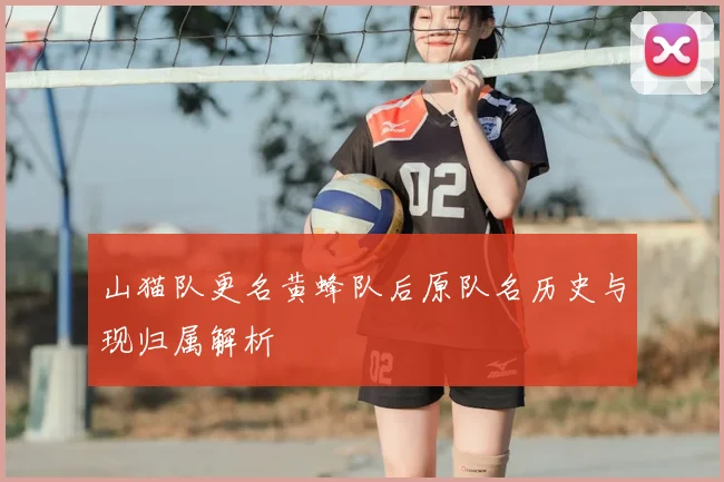 山猫队更名黄蜂队后原队名历史与现归属解析