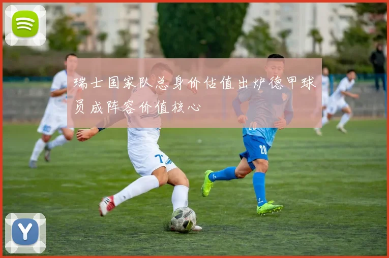 瑞士国家队总身价估值出炉德甲球员成阵容价值核心