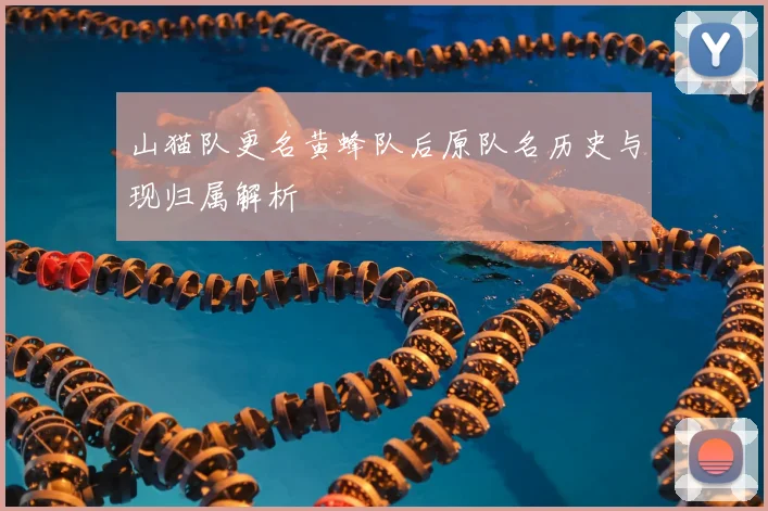 山猫队更名黄蜂队后原队名历史与现归属解析